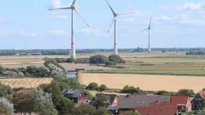 Energiepolitik: „Wir fahren ja auch nicht mehr mit Pferdekutschen“