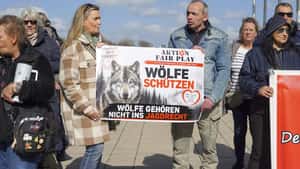 Nach Wolfsangriff in Hamburg: Warum der Bund kein schärferes Recht plant