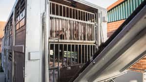 Niederlande: Ferkelexport bricht um 20 % ein