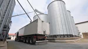 WASDE-Report wirkt nach: Börsenkurse für Weizen und Mais unter Druck