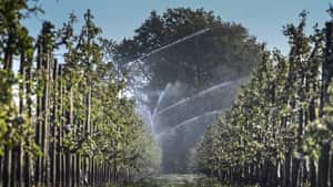 Eisheilige dieses Jahr früher - Mai könnte mit Frostnächten starten