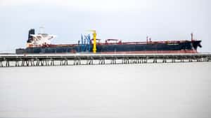 Neue Hormus-Sperre stützt Ölsaatenkurse