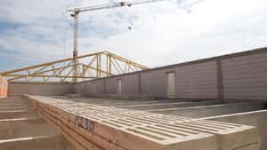 Tierhalter sollen leichter Genehmigungen für Stallbauten bekommen