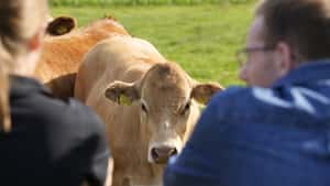 Kappung und Degression: Hansen signalisiert Ausnahmen für Junglandwirte