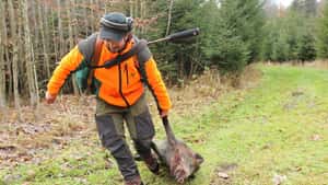 NRW verdoppelt Abschussprämie für Wildschweine