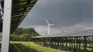 Wie Landwirte die aktuelle Energiepolitik von Ministerin Reiche bewerten