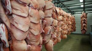 Chinas Schweinefleischeinfuhren brechen um ein Fünftel ein