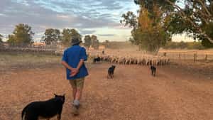 Countrywomen in Australien: Sara Kenny stärkt Frauen auf dem Land