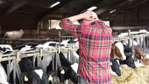 ARD-Beitrag zu Suizid in der Landwirtschaft: Die Belastungen im Fokus