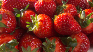 1.400 t Erdbeeren in Sachsen erwartet