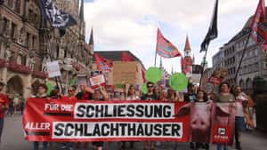 OLG spricht Tierrechtler wegen Verbreitung heimlich erstellter Videos schuldig