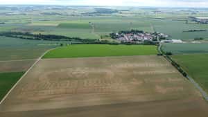 750.000 Maispflanzen schreiben Spruch in Acker