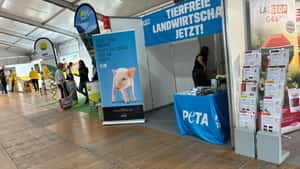 Praxisnah oder utopisch: Wie rechtfertigt PETA ein Ende der Massentierhaltung?