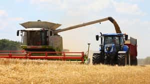Getreideernte 2026: Wie Landwirte jetzt mit Vorverkäufen das Risiko streuen