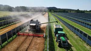 Agri-PV: Warum Reihenabstand, Schlagkraft und Wirtschaftlichkeit zusammenhängen