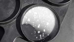 Mastitisdiagnose – trotz antibiotischer Therapie