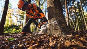 Stihl stellt seine neue Akku-Motorsäge MSA 260 C-O vor