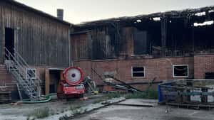 Brand in Maststall – Feuerwehr rettet Schweine mit Löschkanone