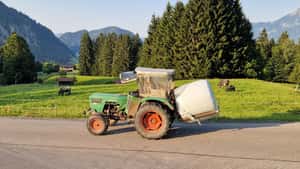 Hitzewelle: Schweizer Landwirt muss seine Kühe wegen Futtermangel verkaufen