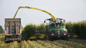 Erste Silomais-Erträge und Erfahrungen von Landwirten und Lohnunternehmern