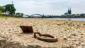 Rhein bleibt trotz Regen auf Rekordtief