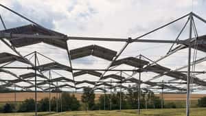 Wachstum unter Agri-PV und Agroforst: Gerste, Kartoffeln, Mais passen sich an