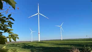 Pachtdeckel für Windflächen sorgt für Kritik