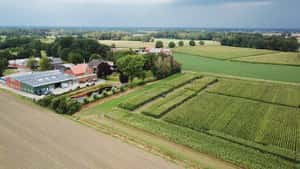 Bayer: Innovationen für den Maisanbau von morgen