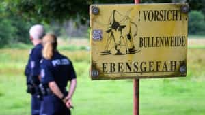 Grausiger Fund bei Rostock: Bulle enthauptet – Polizei sucht dringend Zeugen