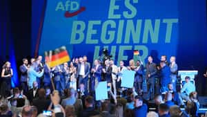 AfD-Sieg in Sachsen-Anhalt: Das plant die Partei für die Landwirtschaft
