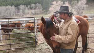 Rinderzüchter in Wyoming kämpfen mit Dürre, Kosten und Rindfleischimporten