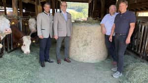 Nach Dürre: Heu aus Ostdeutschland für Österreichs Rinderhalter
