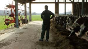 Landwirt mit ADHS-Diagnose: Werden Versicherungen jetzt teurer?