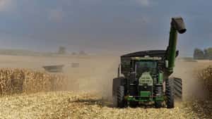 US-Farmer loben Bayers kürzere Maissorte Preceon