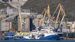 Exportblockade stützt Getreide- und Rapskurse weiter