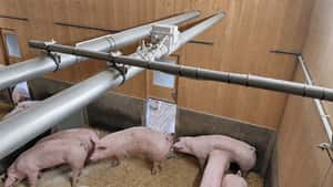 Schauer-Strohmatic AERO Staubbindung bekommt EuroTier Silbermedaille