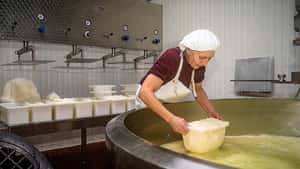 Online-Vermarktung vom Papenburger Biokäse boomt