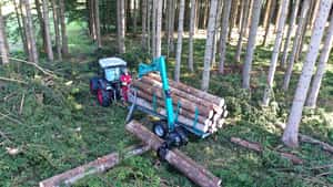 Das Wichtigste zum richtigen Rückewagen