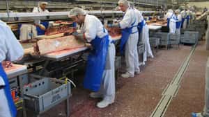 Danish Crown zieht sich vom Weltmarkt zurück