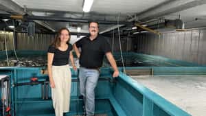 Betreiber von Fischzuchtanlagen insolvent: Was heißt das für Hof Niehues?