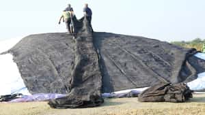 Plastiksteuer ab 2027: Landwirte zahlen indirekt mit – Was wird mit Silofolie?