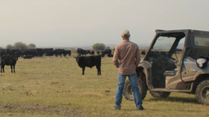 Können virtuelle Zäune eine neue Einnahmequelle für US-Landwirte erschließen?