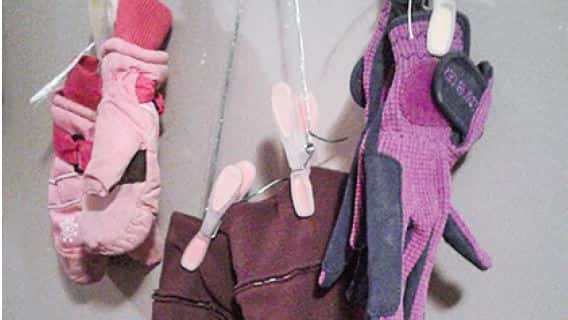 Geschickte Aufbewahrung von Handschuhen | top agrar