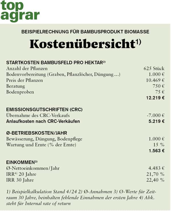 Bambusbauern gesucht: Bamboologic sucht Landwirte fr Bambusplantage | top  agrar