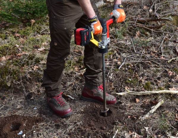 zimmerpflanze mit zitronenduft Zitronenbaum Zitruspflanze 22cm 80cm Zimmerpflanze kaufen