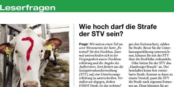 bingenheimer saatgut haltbarkeit BIO Saatgut Blumenmischung Bienenweide  Biogartenladen