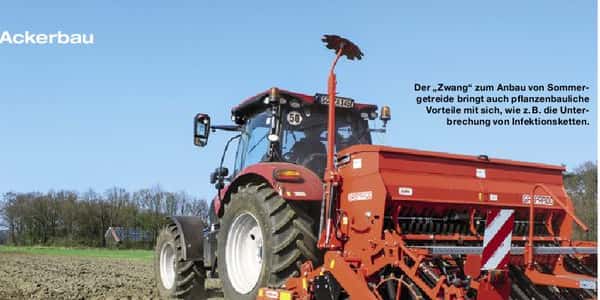 Durchstarten mit Sommergetreide | top agrar