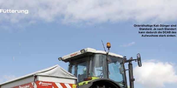 dnger fr hanfpflanzen selber machen Green Home Hanf- & Cannabis Dnger Set