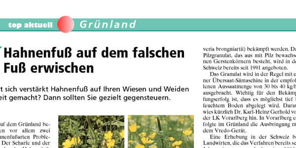 Hahnenfu auf dem falschen Fu erwischen | top agrar