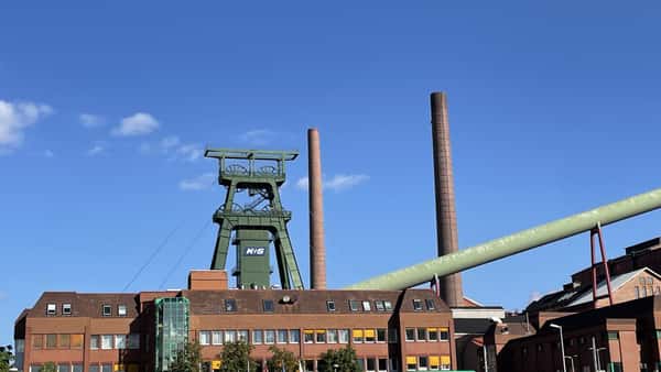 heidelbeer dünger bio Purgrün Bio-Heidelbeerdünger 1 Liter main image 1